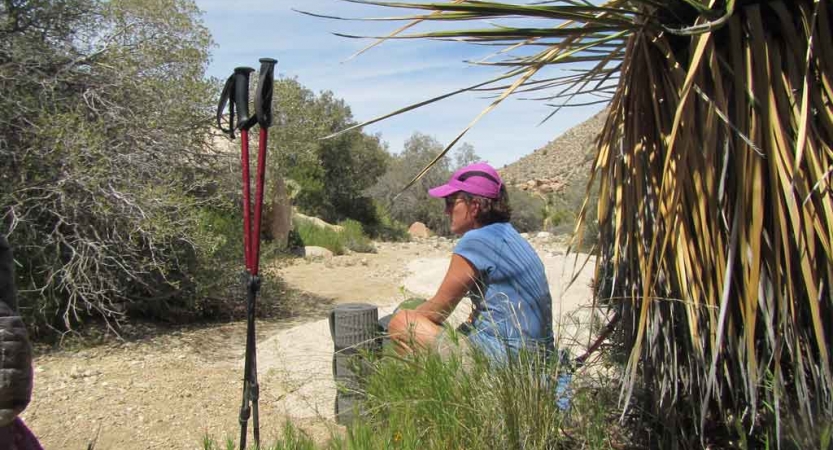 a person wearing hiking gear rests beside a tree 